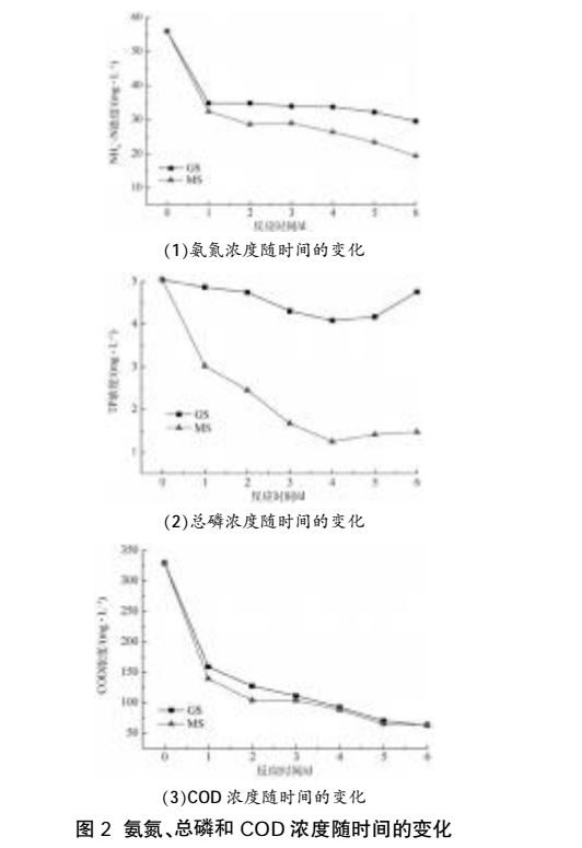 人工濕地處理農村生活污水