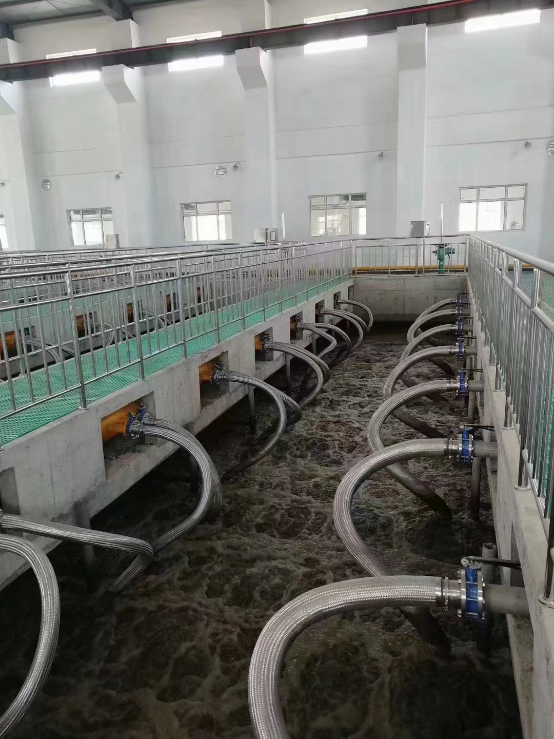 魚(yú)類(lèi)養殖廢水處理設備