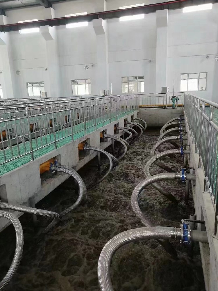 魚(yú)類(lèi)養殖廢水處理