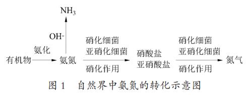 高氨氮廢水處理技術(shù)