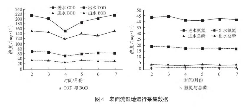 農村污水綜合治理人工濕地技術(shù)