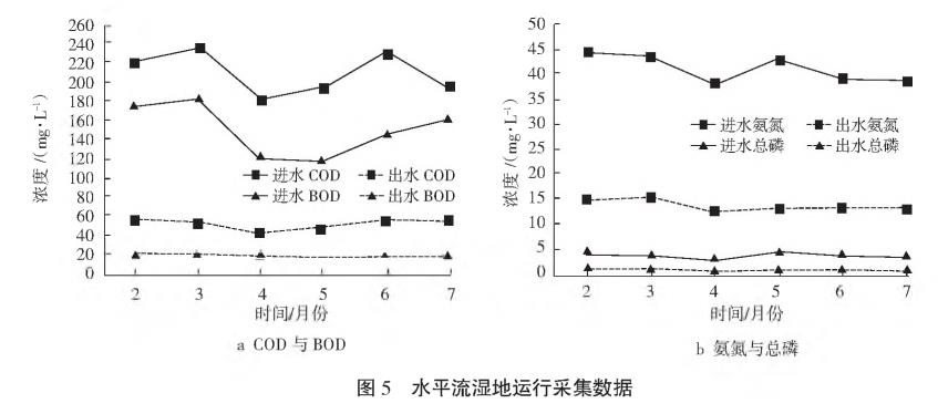 農村污水綜合治理人工濕地技術(shù)