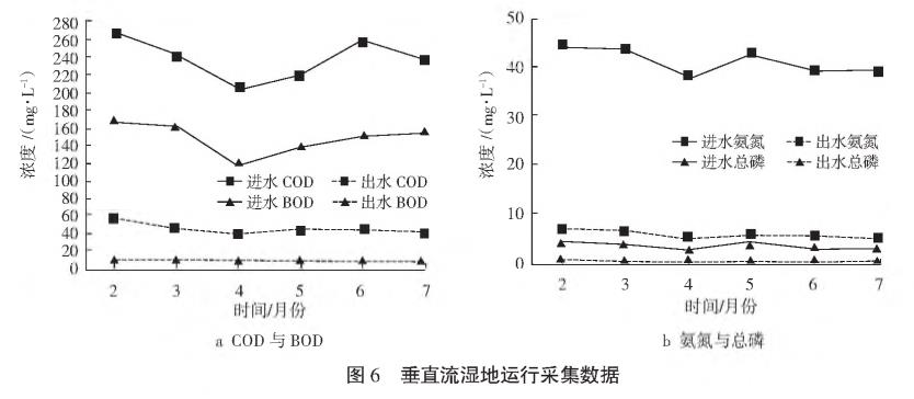 農村污水綜合治理人工濕地技術(shù)