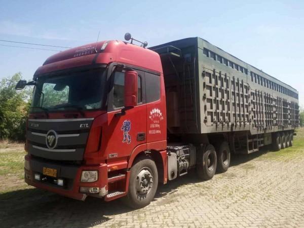 武義到集安貨運(yùn)公司電話(huà)武義到集安貨運(yùn)公司電話(huà)號(hào)碼