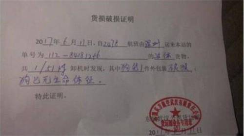 貨運(yùn)公司送貨證明怎么開貨運(yùn)公司送貨證明怎么開具