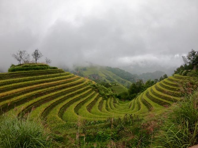 禪城到桂林貨運電話號碼禪城到桂林貨運電話號碼多少