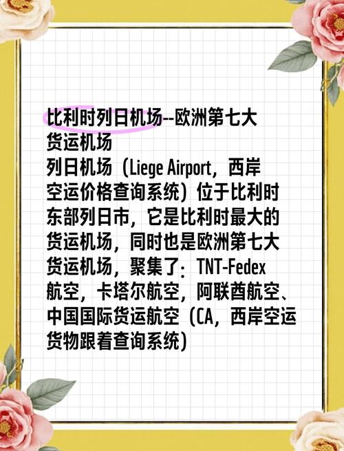 貨運機場網(wǎng)站貨運機場網(wǎng)站官網(wǎng)