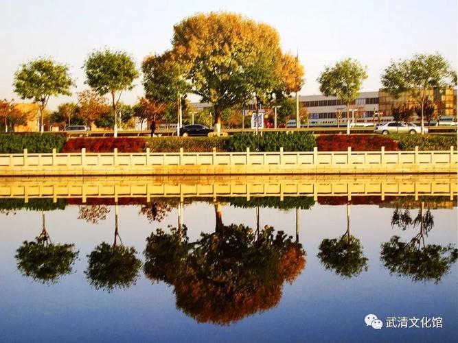 武清國(guó)際貨運(yùn)武清國(guó)際貨運(yùn)電話