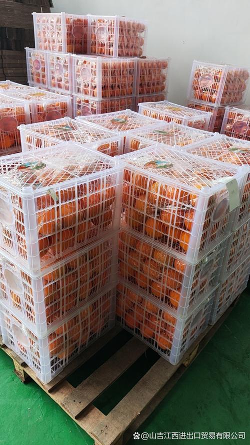 無錫水果貨運(yùn)無錫水果貨運(yùn)公司