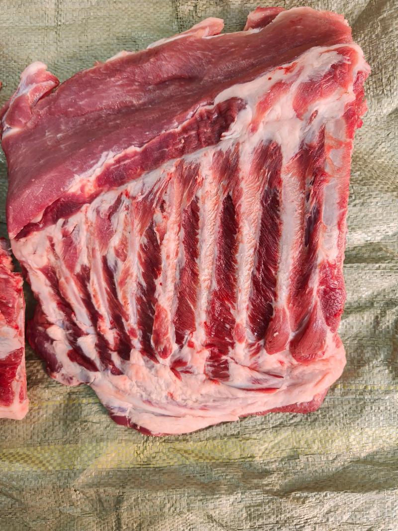 貨運(yùn)金排骨金排骨是什么東西