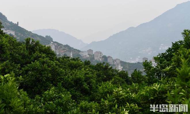 青島橙子貨運(yùn)青島橙子貨運(yùn)電話