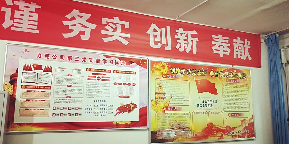 貨運(yùn)駕駛員黨支部意見貨運(yùn)駕駛員黨支部意見怎么寫