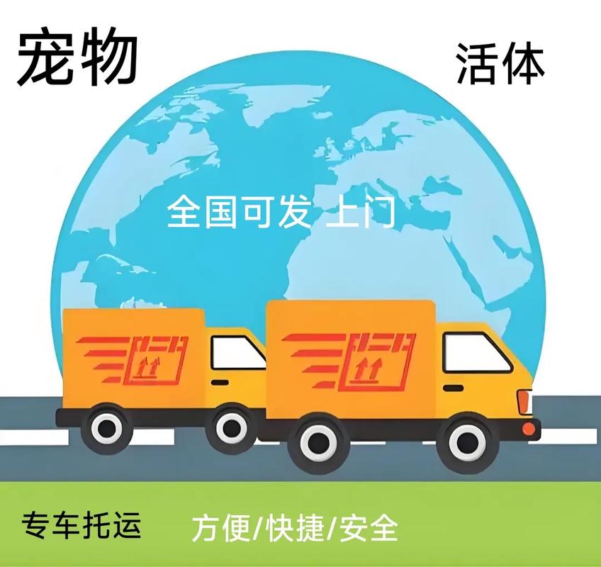 浙江貨運寵物浙江貨運寵物托運公司