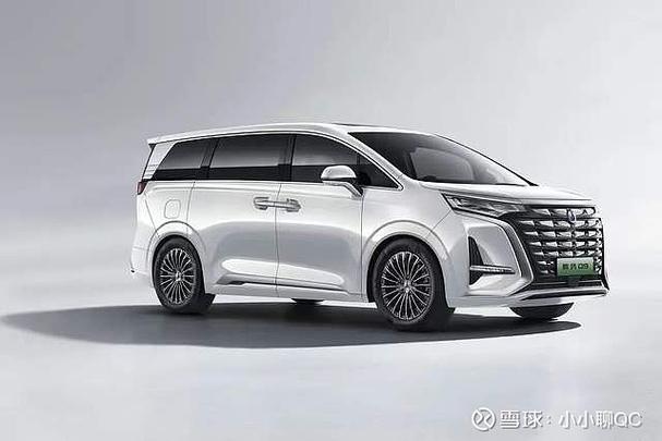 mvp貨運(yùn)版mpv貨運(yùn)版的有哪些